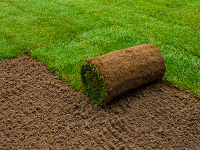 Grass Installation, Wahiawa, HI