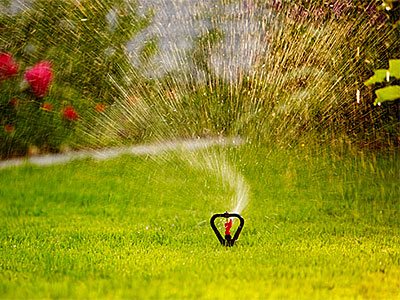 Sprinklers & Irrigation