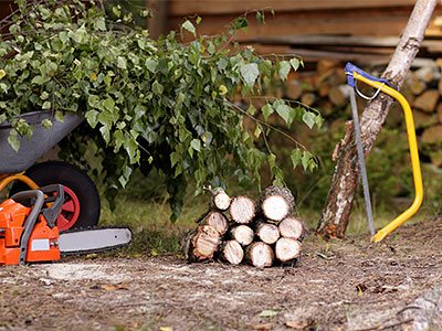 Tree Service, Wahiawa, HI