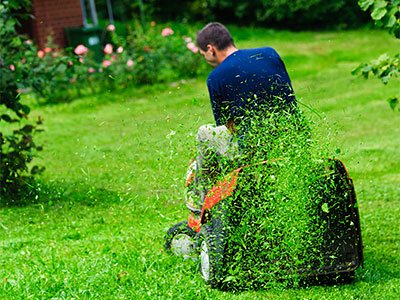 Yard Maintenance